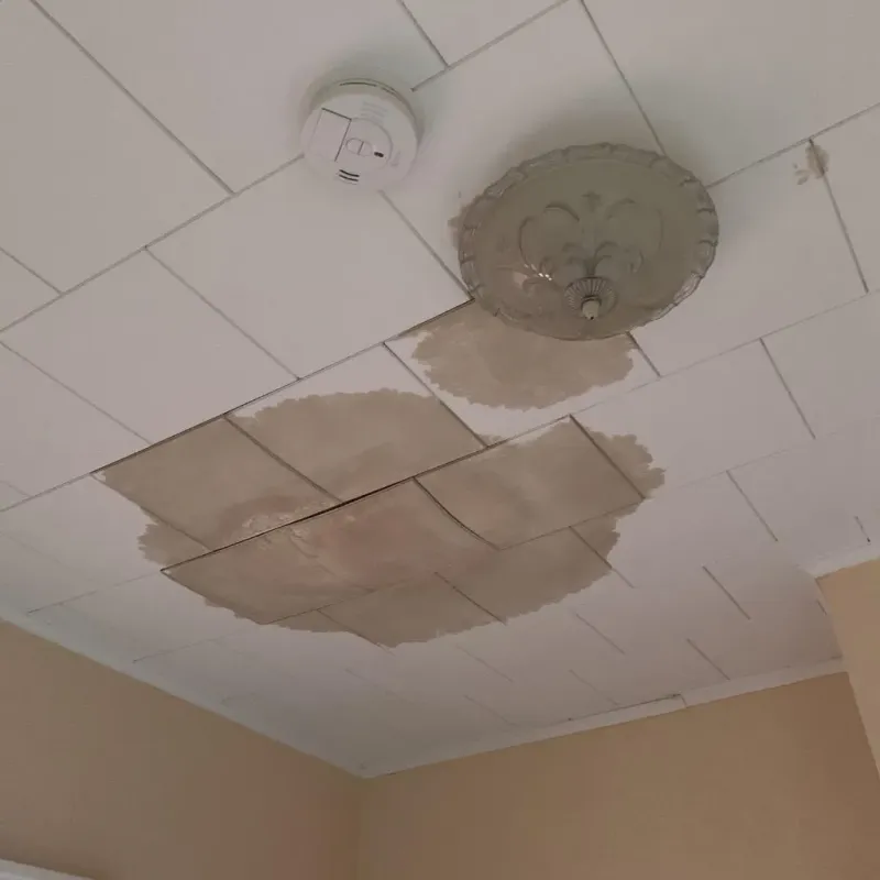 Ceiling Water Damage Repair in Ocean Park, WA